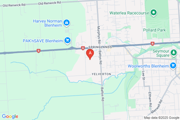 Map of event location