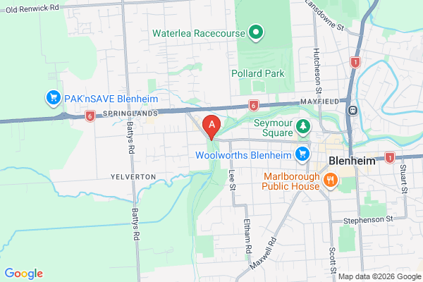 Map of event location